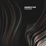 Magnetic Flux